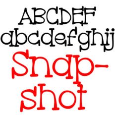 zp snapshot