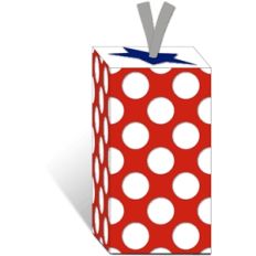 3d firecracker box