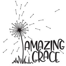 amazing grace dandelion