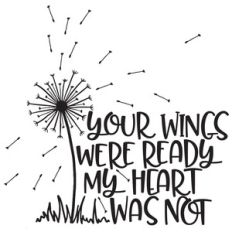 your wings were ready my heart was not dandelion