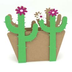 cactus box