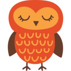 owl