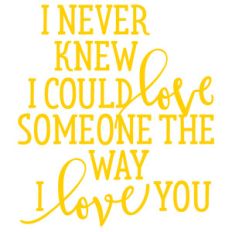 i never knew i could love someone the way i love you