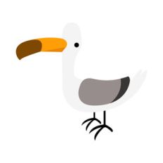 seagull