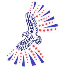american bald eagle