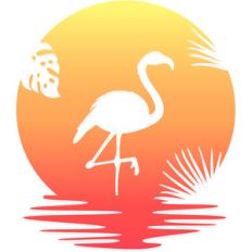 flamingo sunset beach