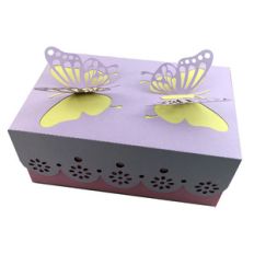 butterfly box