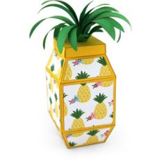 pineapple shaped box