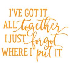 i've got it all together i just forgot where i put it