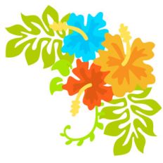 tropical flowers