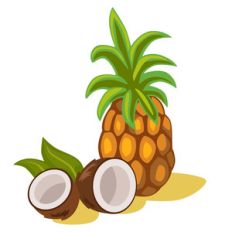 pineapple and coconuts