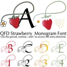 qfd strawberry monogram font