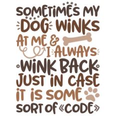 dog winks