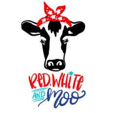 red, white and moo heifer