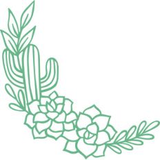 cactus border