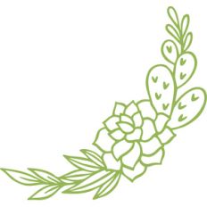cactus border