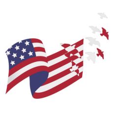 american flag