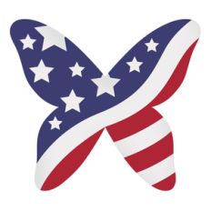 american flag