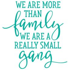 we are more than a family we are a really small gang