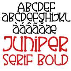 pn juniper serif bold