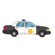 police car
