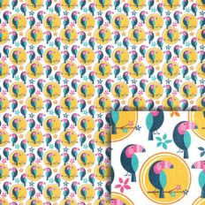 toucan background paper