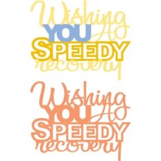 speedy recovery phrase