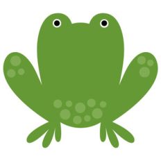 frog