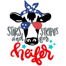 stars and stripes for heifer