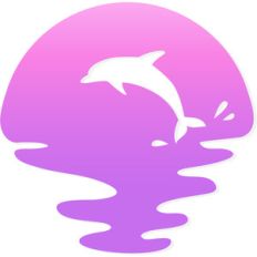 dolphin sunset