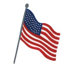 usa flag