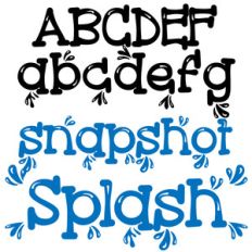 zp snapshot splash