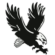 flying eagle