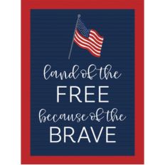 land of the free