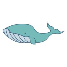 blue whale