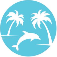 dolphin beach sunset