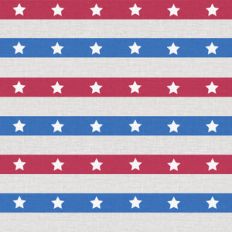 freedom stars and stripes 12 x 12 paper