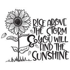 rise above the storm sunflower quote