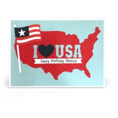 usa card