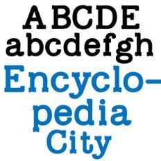 zp encyclopedia city