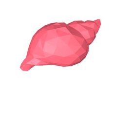 sea shell 3d