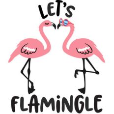 let's flamingle
