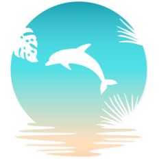 tropical dolphin sunset
