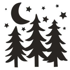 camping forest at night