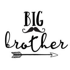 big brother