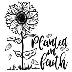 planted in faith sunflower quote