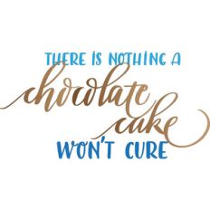 there is nothing a chocolate cake won’t cure