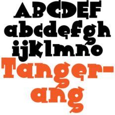 pn tangerang