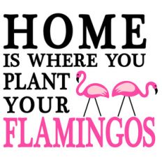 home plant flamingos