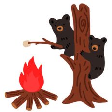 bear cubs roasting marshmallows